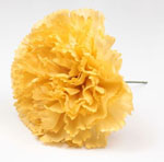 Flamenco Artificial Carnations. Sevilla Model. Mustard 4.132€ #5041916109AM61